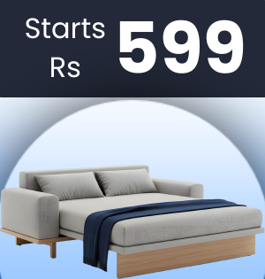 Sofa Cum Bed Cleaning